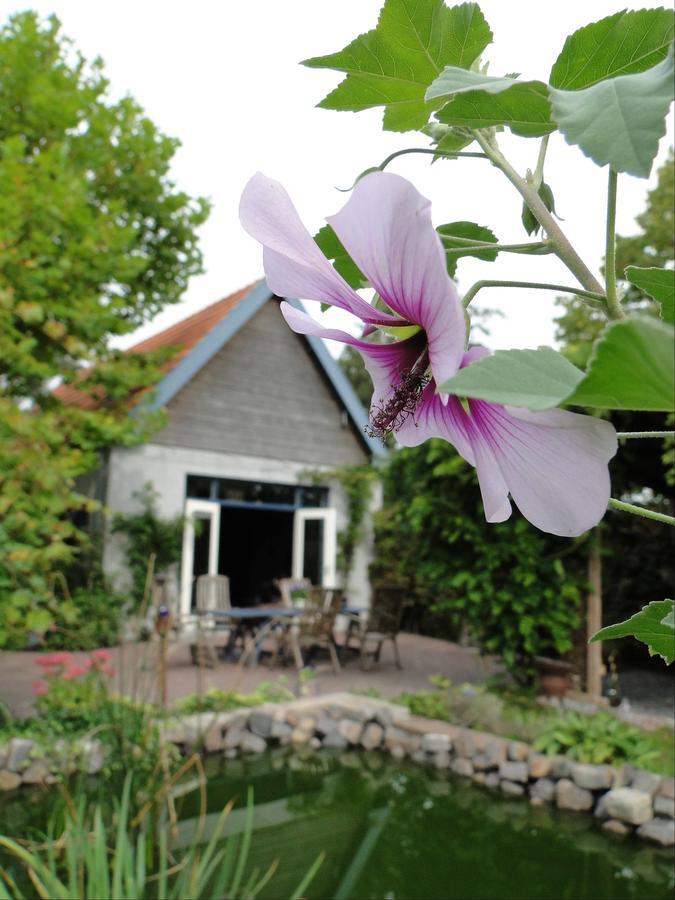 B&B De Lotus 호벨레이큰 외부 사진